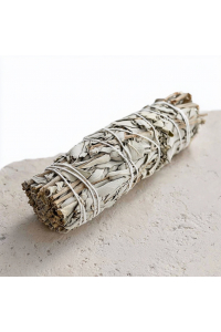 Zdjęcie dla Biała szałwia kalifornijska – ekstra duża