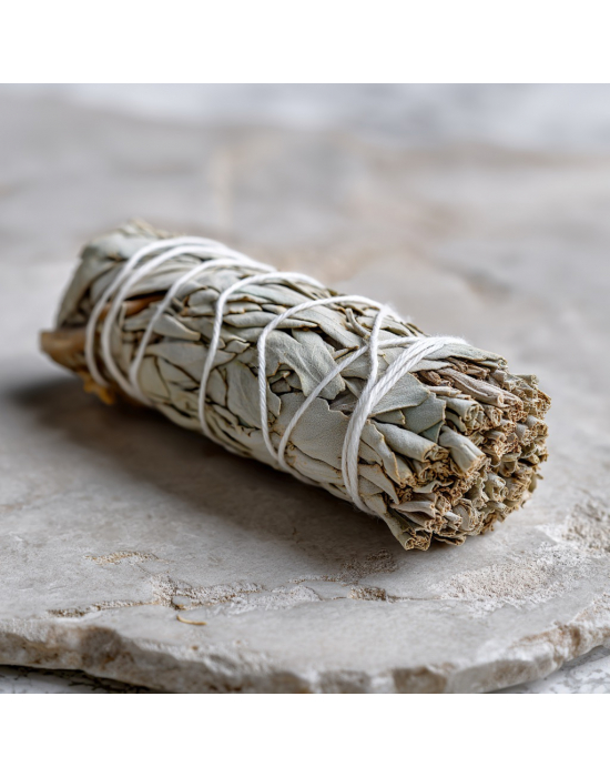 Zdjęcie dla Kalifornijska biała szałwia (Salvia Apiana)