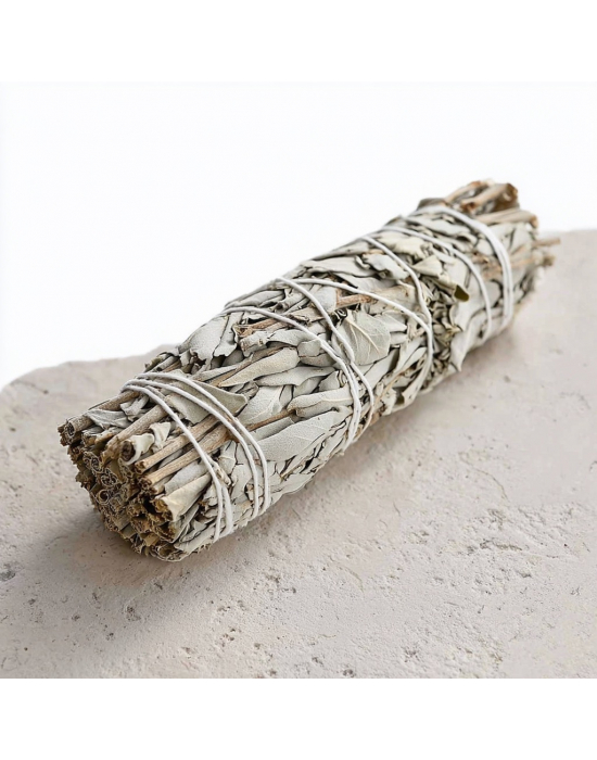 Zdjęcie dla Biała szałwia kalifornijska – ekstra duża