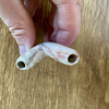 Zdjęcie dla Kuripe Fossil